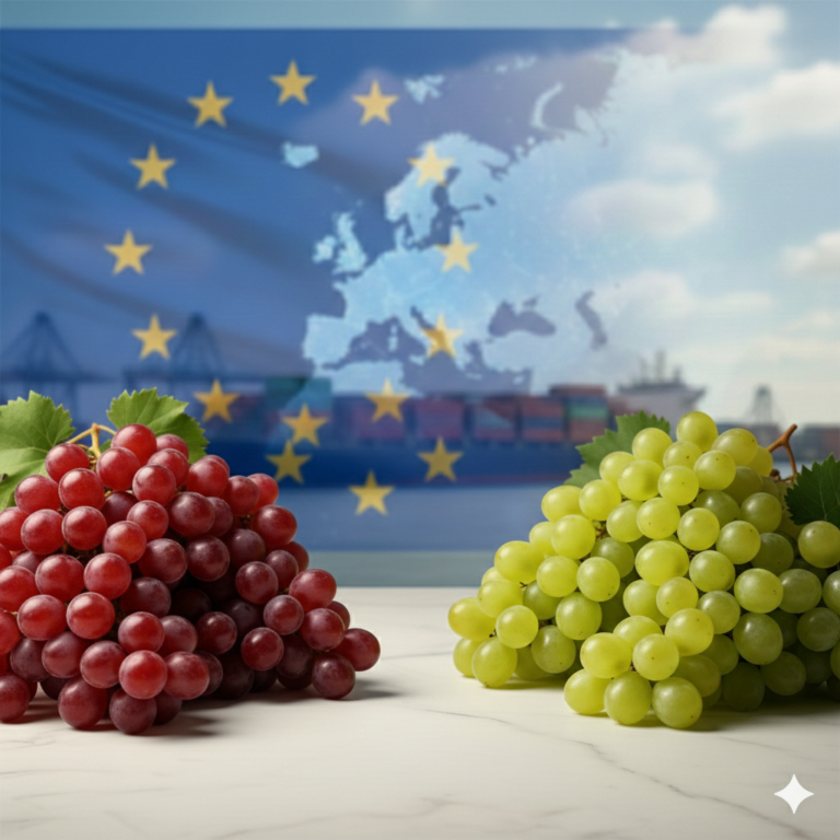 Gemini_Generated_Image_u1jg62u1jg62u1jg