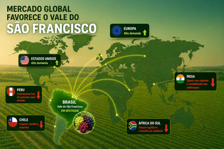 infographic_1248x832