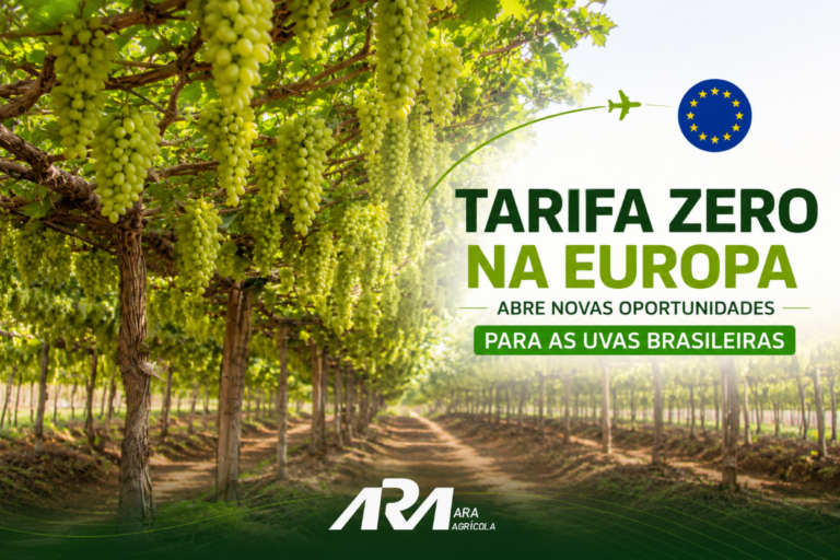 BLOG AGRICOLA (2)