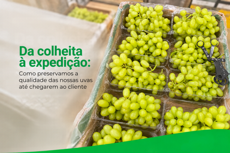 BLOG AGRICOLA (3)