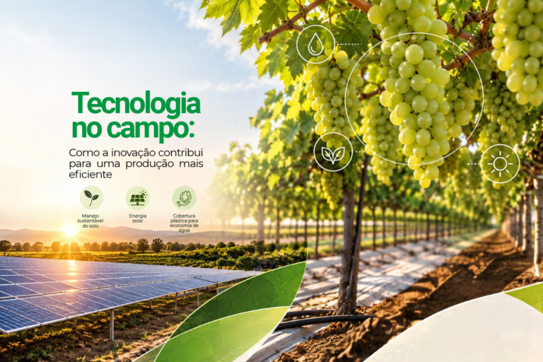 BLOG AGRICOLA (6)